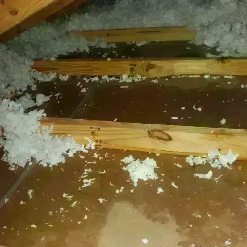 Attic Water Damage in Howards Grove, WI